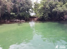 thumbs_ferias-ilha-grande008