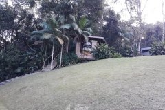 turmadohorto-parquedasneblinas002